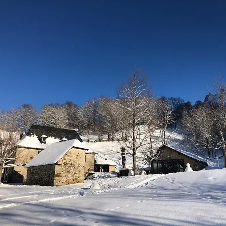 Le Domaine De Castille - Chalet Pyreneen De Charme - Spa De Nage Arrens-Marsous Exterior photo