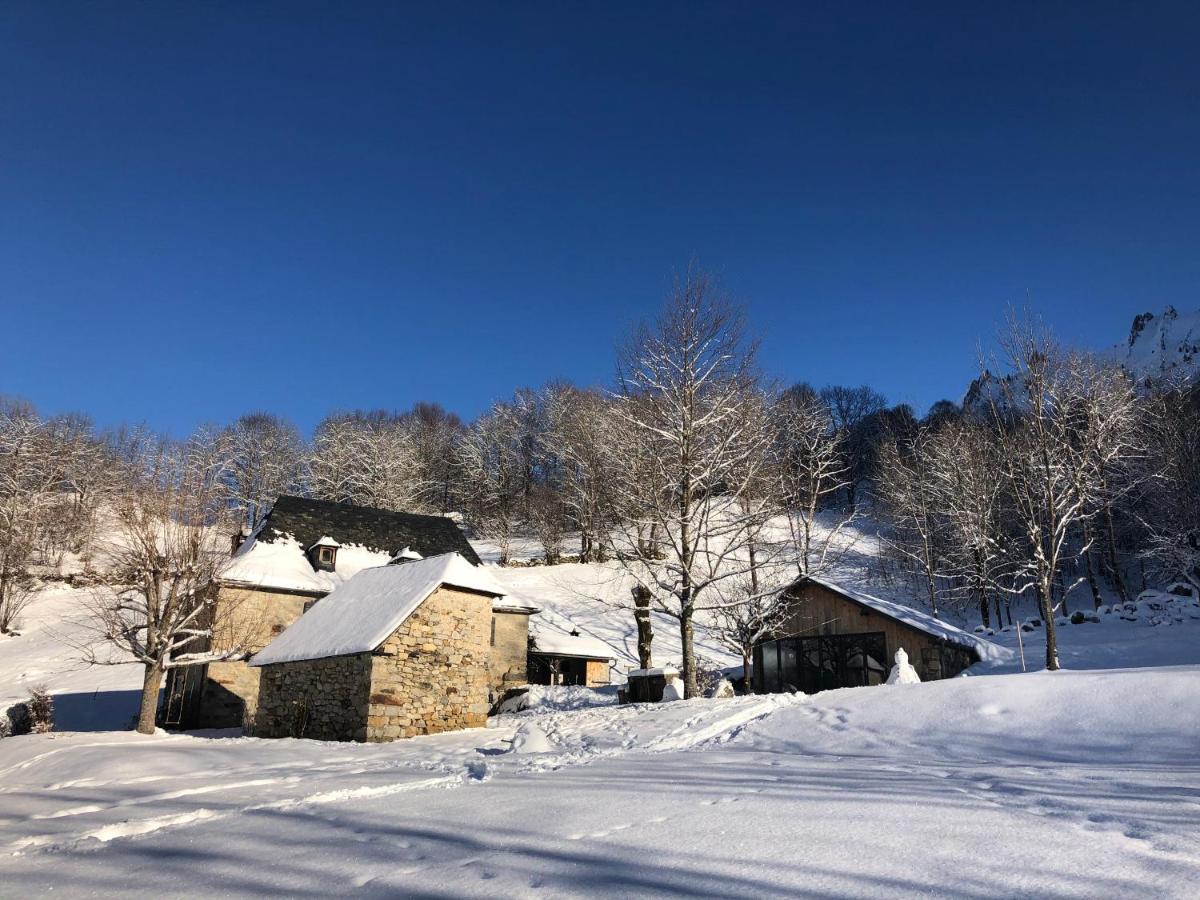 Le Domaine De Castille - Pyreneen De Charme - De Nage Arrens-Marsous