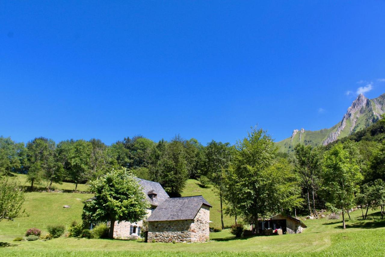 Le Domaine De Castille - Pyreneen De Charme - De Nage Arrens-Marsous