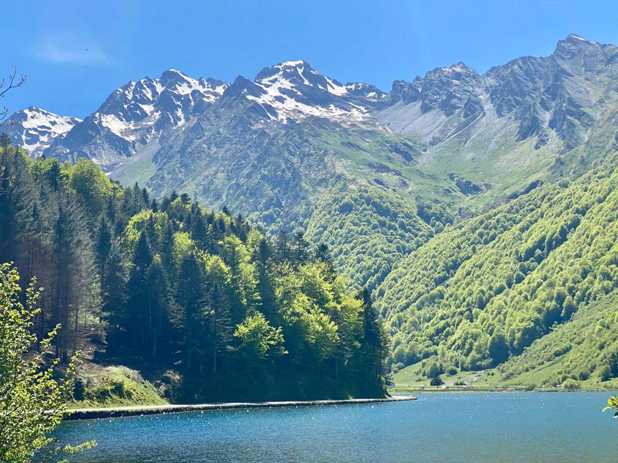 Villa Le Domaine De Castille - Pyreneen De Charme - De Nage Arrens-Marsous